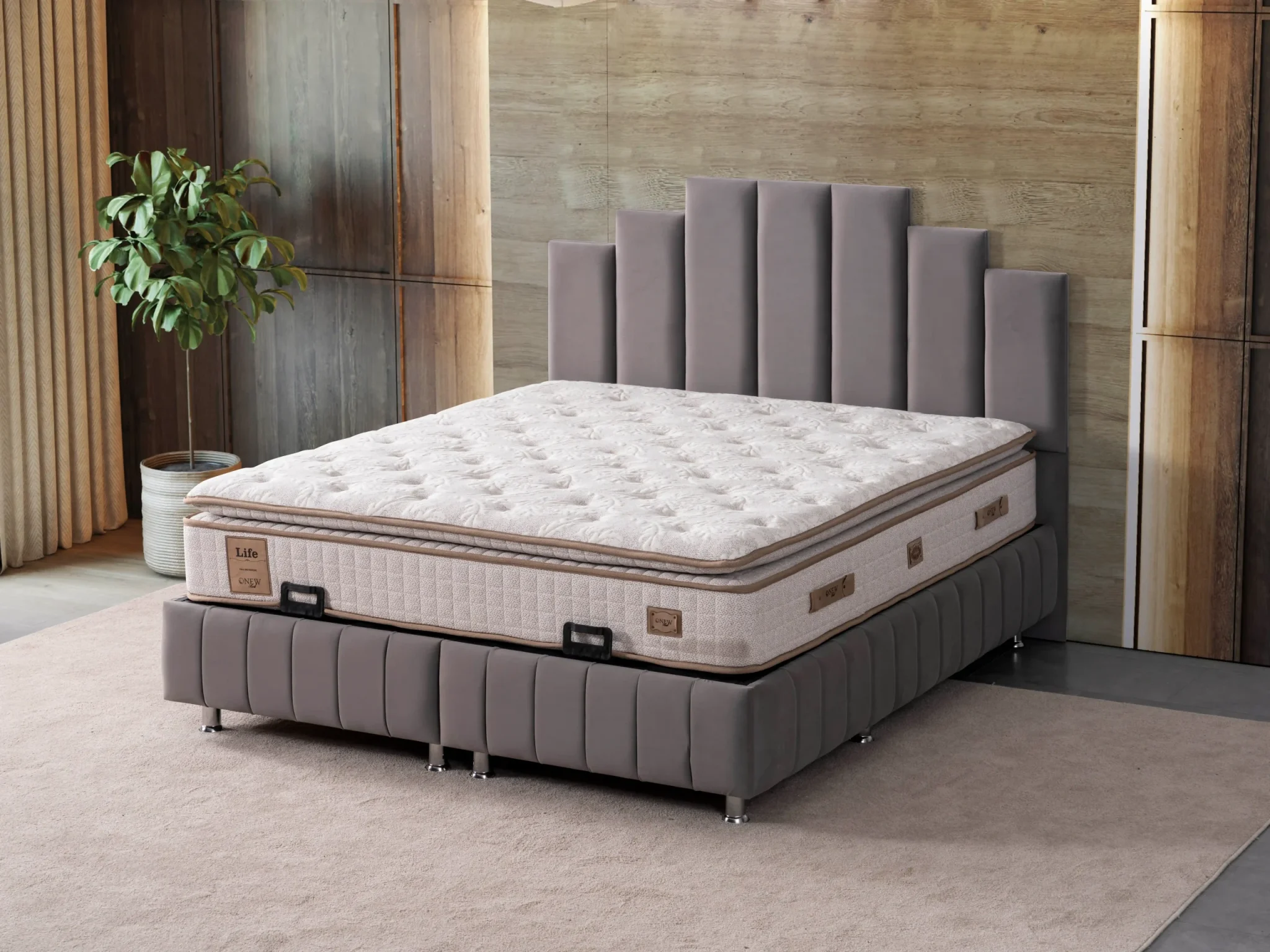 Natura Baza Başlık